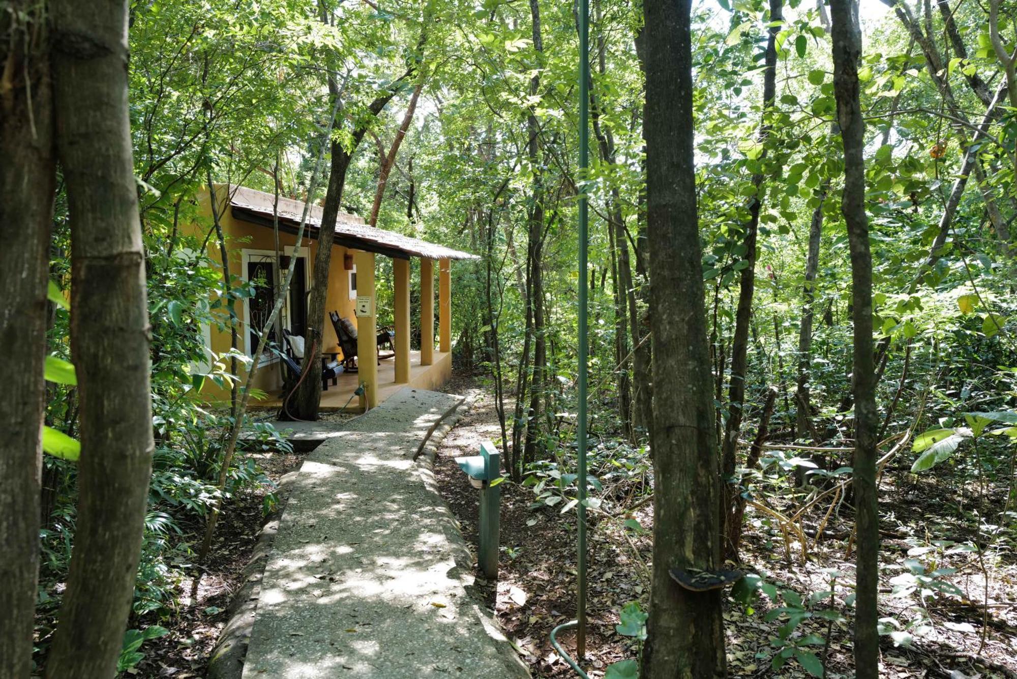 蒙多米洛生态山林小屋 Paraíso 外观 照片