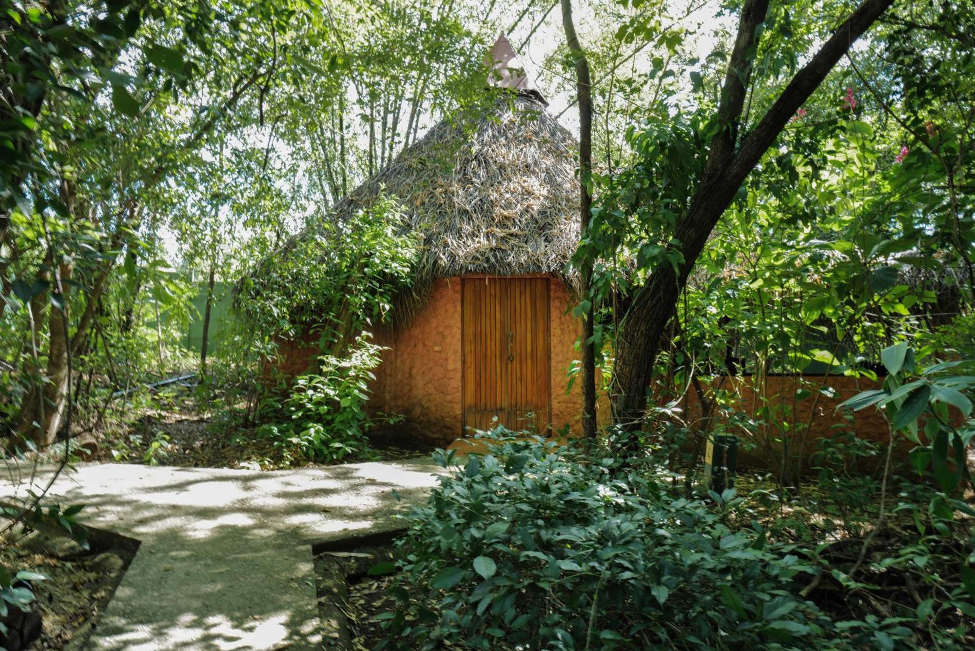 蒙多米洛生态山林小屋 Paraíso 外观 照片
