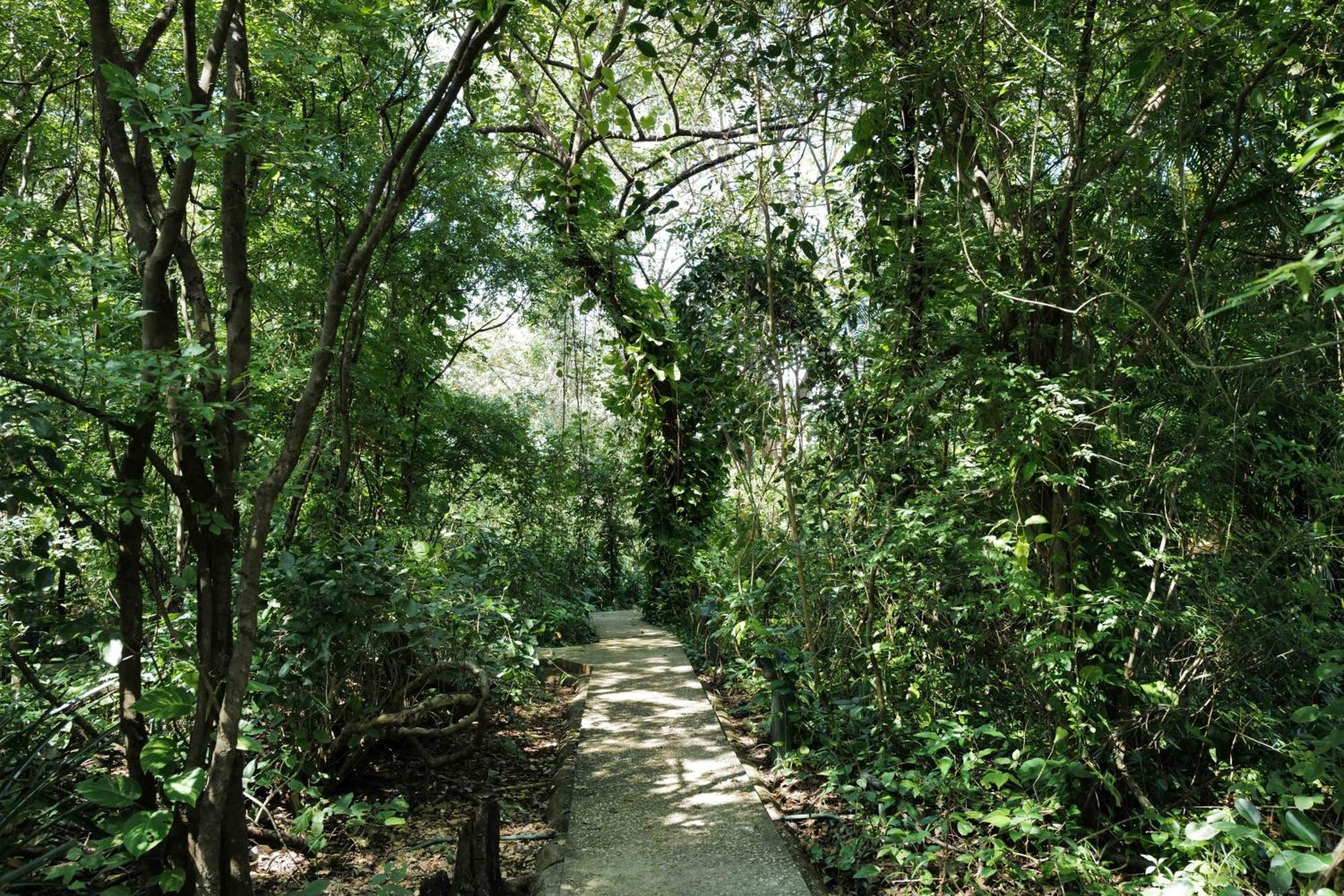 蒙多米洛生态山林小屋 Paraíso 外观 照片