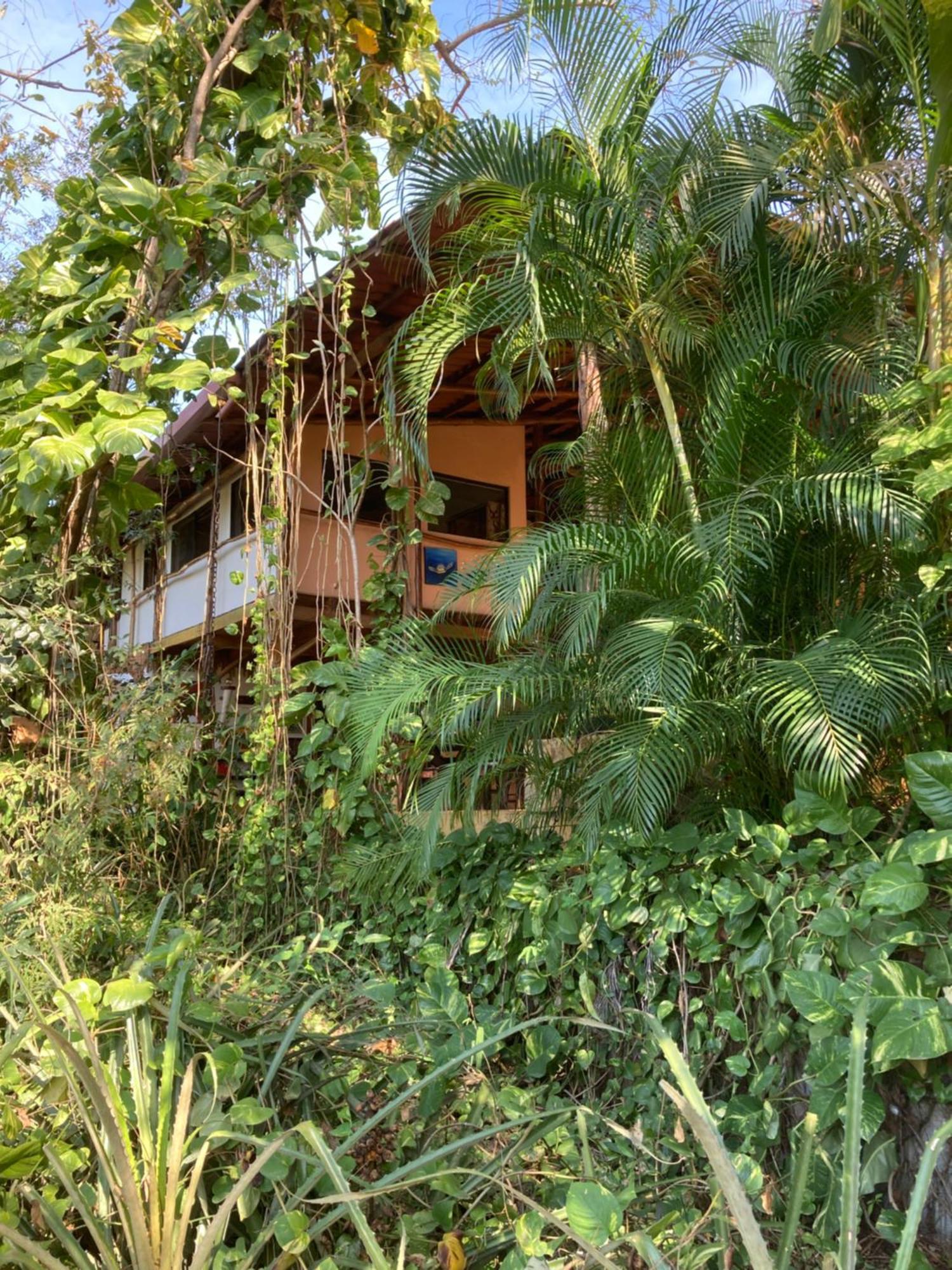 蒙多米洛生态山林小屋 Paraíso 外观 照片