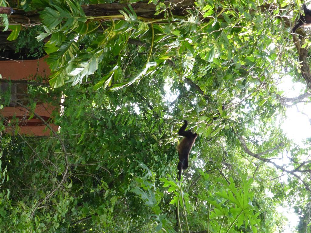 蒙多米洛生态山林小屋 Paraíso 外观 照片